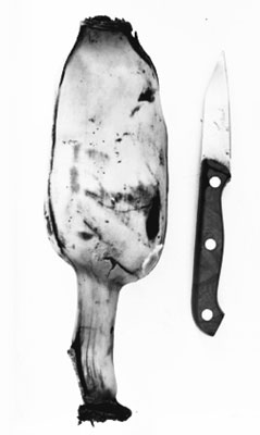 Anders Smebye / D.O.R.
